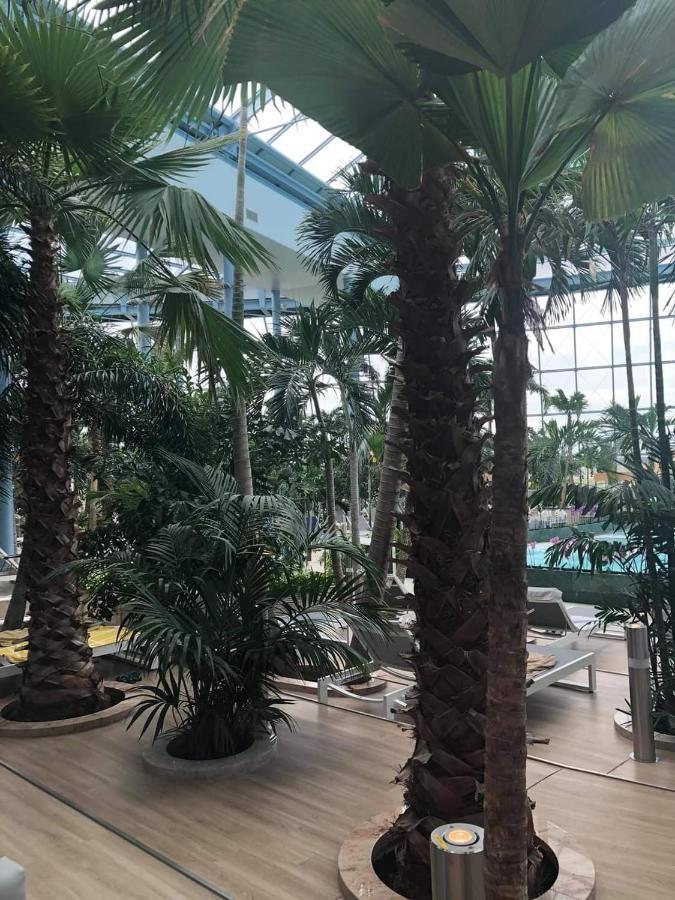 Grabska Osada Apartamenty - 100M Od Suntago Park-Domki Ogrzewane Caloroczne Mszczonów Eksteriør billede